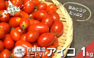 有機栽培 ミニトマト「アイコ」1kg　栗山かなまる農園　B051