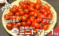 有機栽培 ミニトマト2品種食べ比べ「アイコ」「ほれまる」計1kg　栗山かなまる農園　B053