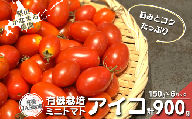 有機栽培 ミニトマト「アイコ」150g×6パック　栗山かなまる農園　C137