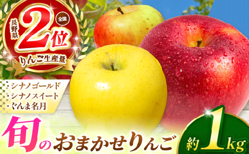 信州産 塩尻エールりんご！ 旬のおまかせりんご 約1kg(3～5玉)　シナノゴールド・シナノスイート・ぐんま名月から旬のりんごをお届け！ 【10月中旬～11月下旬にかけて順次発送予定】 | 果物 くだもの フルーツ 林檎 りんご リンゴ シナノゴールド シナノスイート ぐんま名月 おまかせ 1kg 長野 長野県 長野県産 塩尻市 2026 2026年