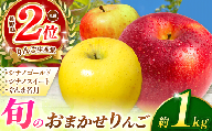 【先行予約】旬のおまかせりんご 約1kg(3～5玉)【9月中旬頃～発送予定】 シナノゴールド・シナノスイート・ぐんま名月から旬のりんごをお届け！ | 果物 くだもの フルーツ 林檎 りんご リンゴ シナノゴールド シナノスイート ぐんま名月 おまかせ  長野県 塩尻市