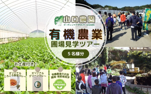 有機農業 圃場見学 ツアー お土産付 5名様迄／ 農業 農家 有機野菜 オーガニック 無農薬 SDGs 関西 体験 チケット カレー 山口農園 奈良県 宇陀市 ふるさと納税 2188313 - 奈良県宇陀市
