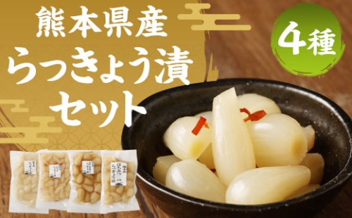 熊本産らっきょう漬け 4点セット 各200g 計800g 2188321 - 熊本県益城町