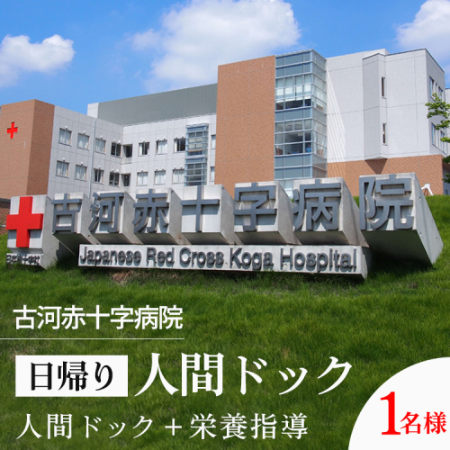 古河赤十字病院　日帰り人間ドック | 人間ドック 健診 健康診断 病院 生活習慣病 早期診断 早期発見 検査 健康 診断 医療 予約 赤十字 茨城県 古河市 _GB01 2188422 - 茨城県古河市