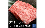 【ふるさと納税】 黒毛和牛 オリーブ牛ロース 焼肉用 500g [ 赤身 オリーブ牛 和牛 讃岐牛 焼肉 焼き肉 ロース ランキング ブランド牛 牛肉 お肉 国産 ロース肉 送料無料 牛肉 希少部位 希少 切り落とし 三豊市 31000 30, 台 返礼品 人気 セット 行天食品 ]
