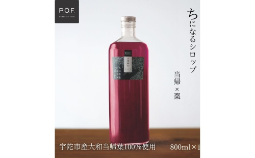 ちになるシロップ＜大和当帰×棗＞800ml 1本／ ふるさと納税 棗 シロップ 瓶 ガラス瓶 国産 食材 炭酸 大和当帰葉 有機 お湯割り 甜菜糖 ハチミツ はちみつ 送料無料 ち 奈良県 宇陀市 POWER OF FOOD 2188572 - 奈良県宇陀市