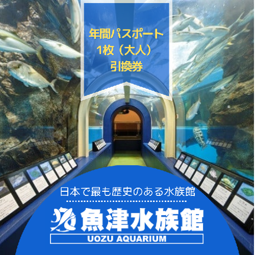 魚津水族館 入館年間パスポート引換券/一般(高校生以上)※北海道・沖縄・離島への配送不可 2188596 - 富山県魚津市
