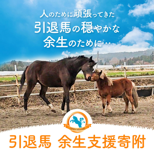 【返礼品なし】引退馬余生支援寄附 一般社団法人オープンセサミアライブ 熊本県 南阿蘇村 馬 ウマ 支援 競走馬 引退馬 生活支援 動物愛護 保護 返礼品なし 寄附 牧場 オープンセサミ アニマルサンクチュアリ 2188598 - 熊本県南阿蘇村