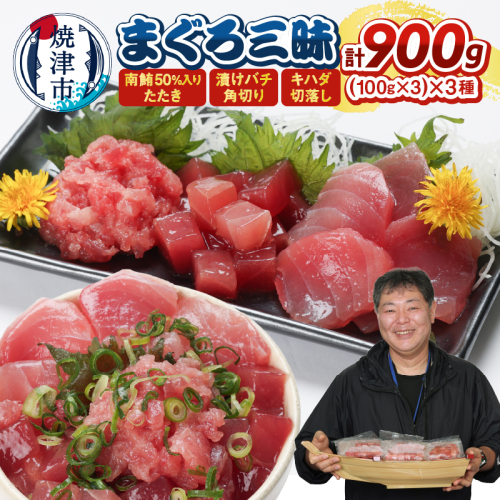 a11-169　まぐろ三昧セット 2188620 - 静岡県焼津市