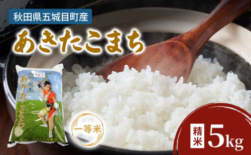 JAあきた湖東 五城目産 一等米 あきたこまち 5kg 精米 秋田県産 お米 ご飯 ライス rice【配達不可：沖縄・離島】 2188642 - 秋田県五城目町