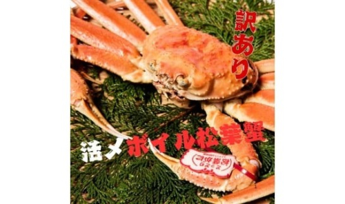 【訳あり】活〆ボイル松葉蟹　700g前後 カニ専門店マルツ 先行受付 M12　1187 2188662 - 鳥取県江府町
