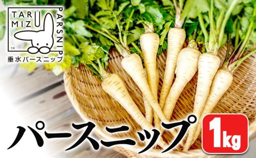 A1-5712／パースニップ　1kg 2188672 - 鹿児島県垂水市
