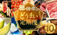 穂の国のどうまい定期便 A＆Bコース /  鴨 鴨肉 鍋 セット むき海老 エビ 姫牛 牛 牛肉 フローズンヨーグルト アイス うなぎ 鰻 トマト ローストビーフ マスクメロン メロン シャインマスカット 巨峰 おでん セット フルーツ 果物 選べる定期便 豊橋の定期便 定期