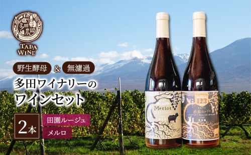 【野生酵母&無濾過】赤ワイン2本 混醸&全房仕込み 多田ワイナリー 北海道 上富良野町 ワイン セット お酒 アルコール 2189133 - 北海道上富良野町
