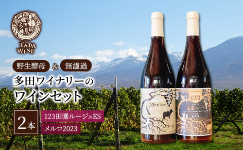 【野生酵母&無濾過】赤ワイン2本 混醸&全房仕込み 多田ワイナリー 北海道 上富良野町 ワイン セット お酒 アルコール 2189133 - 北海道上富良野町