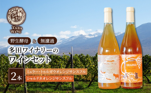 【酸化防止剤無添加】オレンジワイン2種類 野生酵母&無濾過 多田ワイナリー 北海道 上富良野町 ワイン セット お酒 アルコール 2189134 - 北海道上富良野町