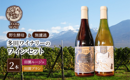 【野生酵母】混醸ワイン 赤白 計2本 多田ワイナリー 北海道 上富良野町 ワイン 赤ワイン 白ワイン セット お酒 アルコール 2189135 - 北海道上富良野町