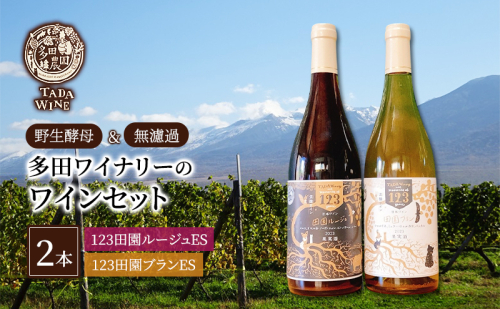 【野生酵母】混醸ワイン 赤白 計2本 多田ワイナリー 北海道 上富良野町 ワイン 赤ワイン 白ワイン セット お酒 アルコール 2189135 - 北海道上富良野町