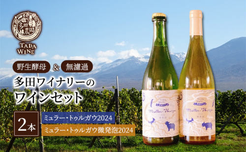 【野生酵母】爽やかなワイン 白&微発泡 ミュラー・トゥルガウ 多田ワイナリー 北海道 上富良野町 ワイン 白ワイン 微発砲ワイン セット お酒 アルコール 2189137 - 北海道上富良野町