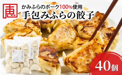 【かみふらのポーク 使用】 手包み ふらの餃子 20個入×2袋 業務用 ジャンボ サイズ 中華 冷凍 即席 食品 簡単 加工品 調理不要 おかず 手作り ふらの 北海道 上富良野町 北の恵 2189142 - 北海道上富良野町