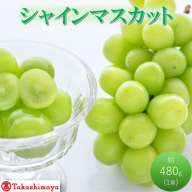 【高島屋選定品】シャインマスカット 約480g×1房 岡山県高梁市産 個装箱入り 葡萄 ブドウ 贈り物