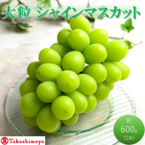 【高島屋選定品】大房 シャインマスカット 約600g×1房 岡山県高梁市産 個装箱入り 葡萄 ブドウ 贈り物 2189157 - 岡山県高梁市