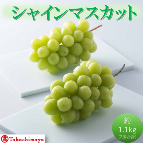 【高島屋選定品】シャインマスカット 約1.1kg（2房合計）岡山県高梁市産 個装箱入り 葡萄 ブドウ 贈り物 2189158 - 岡山県高梁市