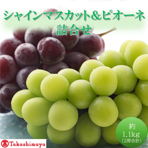 【高島屋選定品】シャインマスカット＆ピオーネ詰合せ 約1.1kg（2房合計） 岡山県高梁市産 個装箱入り 葡萄 ブドウ 贈り物 2189159 - 岡山県高梁市
