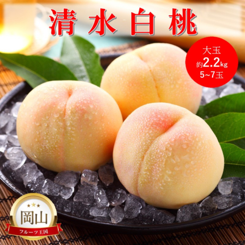 岡山県産 清水白桃 大玉 (約2.2kg) 5～7玉 桃 白桃 もも 果物 フルーツ 2189162 - 岡山県高梁市