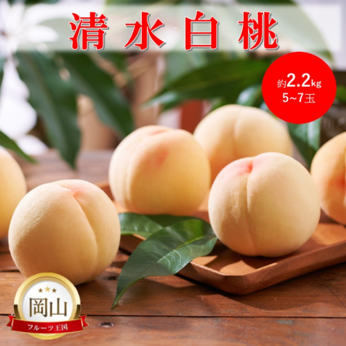2026年 早期受付 岡山県産 清水白桃 (約2.2kg)5～7玉 桃 白桃 もも 果物 フルーツ 2189166 - 岡山県高梁市