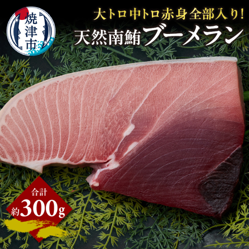 a11-158　天然 南マグロ ブーメラン 約300g 2189180 - 静岡県焼津市