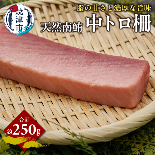 a11-159　天然 南まぐろ 中トロ柵 約250g 2189271 - 静岡県焼津市