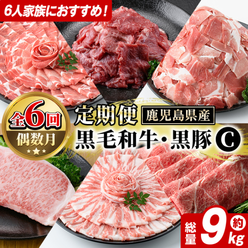 ＜定期便・全6回(偶数月)＞6人家族用！鹿児島県産 黒毛和牛・黒豚 定期便 C (総量約9kg) 国産 黒豚 しゃぶしゃぶ 肩 ロース スライス 訳あり 切り落とし 黒毛和牛 サーロイン ステーキ 黒豚 バラ カタ ウデ 小分け セット 【スターゼン】akn042-39 2189272 - 鹿児島県阿久根市