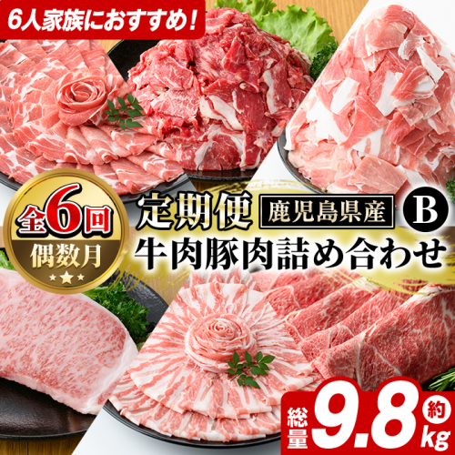 ＜定期便・全6回(偶数月)＞6人家族用！鹿児島県産 牛肉・豚肉 詰め合わせ B (総量9.8kg) 国産 黒豚 しゃぶしゃぶ 肩 ロース スライス 訳あり 切り落とし 黒毛和牛 サーロイン ステーキ 黒豚 バラ カタ ウデ 小分け セット 【スターゼン】akn042-38 2189275 - 鹿児島県阿久根市