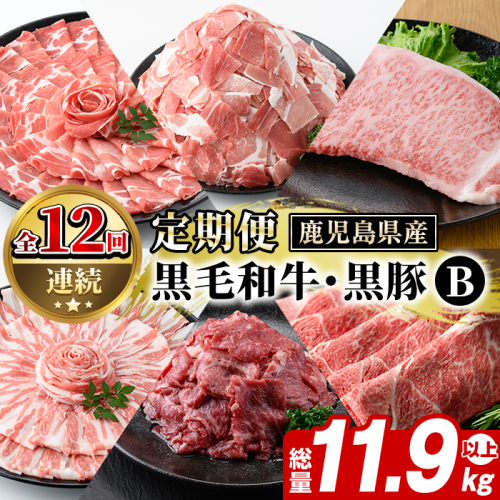 ＜定期便・全12回(連続)＞鹿児島県産 黒毛和牛・黒豚定期便 B (総量約11.9kg以上) 国産 鹿児島県産 黒豚 しゃぶしゃぶ 肩 ロース スライス 訳あり 切り落とし 黒毛和牛 サーロイン ステーキ 黒豚 バラ カタ ウデ 小分け セット 【スターゼン】akn042-36 2189282 - 鹿児島県阿久根市