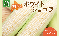 先行受付！【2026年8月頃～発送開始！】北海道十勝清水町産 白いとうもろこし ホワイトショコラ サイズ混合 10～12本 北海道産 2026年 とうもろこし とうきび 産直 産地直送 清水町 北海道 _S021-0018