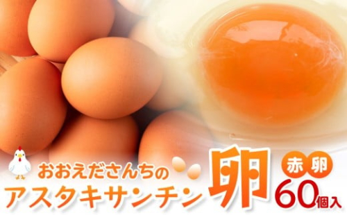 おおえだファーム アスタキサンチン卵（赤卵） Lサイズ 60個入り 2189352 - 宮城県角田市