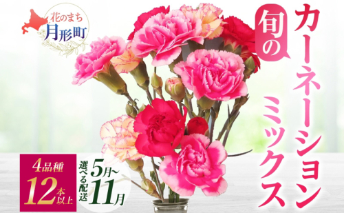 ＜選べる配送月＞ 北海道 カーネーション ミックス 4品種 12本以上 切り花 切花 花束 ブーケ 季節 旬 生花 フラワー アレンジメント 記念日 産地直送 つきがたふるさと花の会 2189356 - 北海道月形町