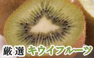 ＜11月より発送＞厳選 キウイフルーツ1kg+250g（傷み補償分）【扁平果】/ きうい キウイフルーツ フルーツ 果実 果物 【ikd036D】