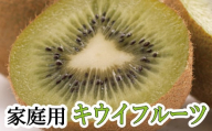 ＜11月より発送＞家庭用 キウイフルーツ1kg+250g（傷み補償分）【わけあり・訳あり・扁平果】/ 和歌山 おすすめ キウイフルーツ 果物 フルーツ きうい キウイ ふるーつ 【ikd037D】