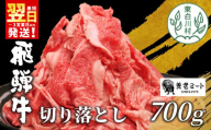 【8月発送】 飛騨牛 切り落とし 700g 牛肉 和牛 肉 お肉 切落し 不揃い にく 切り落し 東白川村 ブランド牛 国産 人気 おすすめ 薄切り きりおとし 岐阜 すき焼き お取り寄せ 冷凍 養老ミート 10000円 1万円