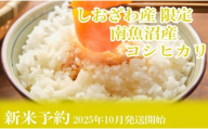 【新米予約・令和7年産】定期便12ヶ月：精米10kgしおざわ産限定 南魚沼産コシヒカリ【2025年10月上旬より順次発送予定】