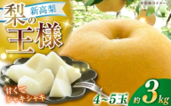 【先行予約】 新高梨 約3kg（4〜5玉） 〈2025年9月20日〜10月末発送〉 / 高知 針木 新高梨 梨 和梨 果物 フルーツ デザート 【川渕果樹園】 [ATHX002]