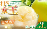 【先行予約】 水晶文旦 約3kg（6〜8玉）栽培期間中農薬不使用 〈2025年12月20日〜1月末発送〉 / 高知 文旦 果物 柑橘 フルーツ デザート 【川渕果樹園】 [ATHX003]
