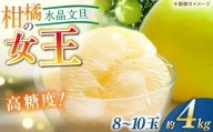 【先行予約】 水晶文旦 約4kg（8〜10玉）栽培期間中農薬不使用 〈2025年12月20日〜1月末発送〉 / 高知 文旦 果物 柑橘 フルーツ デザート 【川渕果樹園】 [ATHX004]