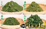 三陸 大船渡産 海藻 味わいつくしセットB（わかめ300g、昆布300g、茎わかめ200g、きざみ昆布200g）各1袋 計1kg