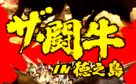 【鹿児島県徳之島】≪H29≫徳之島闘牛伝統大会名場面集DVD
