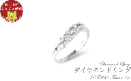 プラチナ　ダイヤ0.3ct 　リング　R664DI-P2【サイズ：8号～16号（0.5刻み可）】