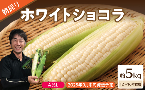 《先行受付》朝採りホワイトショコラ約5kg・A品L・12～16本程度 【2025年9月中旬～発送予定】【山形とうもろこし・大江町産・明石農園】 【027-006】 2190207 - 山形県大江町