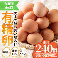 No.781 ＜定期便・全6回＞鹿児島県産有精卵(40個×6回連続) 割れ保証付 国産 九州産 鹿児島県産 たまご 有精卵 卵 鶏卵 生卵 おかず 定期便 頒布会 数量限定【美山たまご王国】